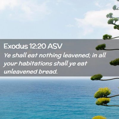 Picture 02 - Exodus 12:20 ASV - Ye shall eat nothing leavened; in all your - Bible Verse Picture