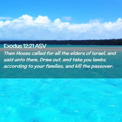 Picture 02 - Exodus 12:21 ASV - Then Moses called for all the elders of Israel, - Bible Verse Picture