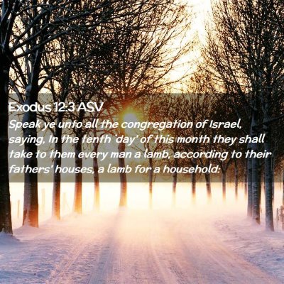 Picture 02 - Exodus 12:3 ASV - Speak ye unto all the congregation of Israel, - Bible Verse Picture