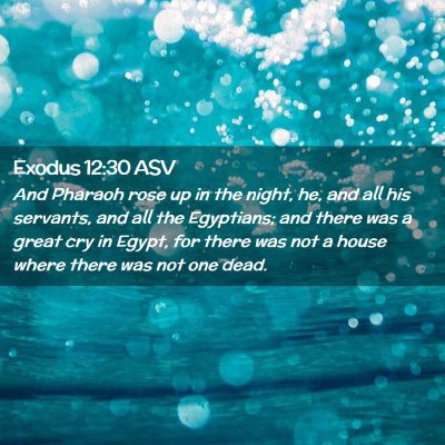 Picture 02 - Exodus 12:30 ASV - And Pharaoh rose up in the night, he, and all his - Bible Verse Picture