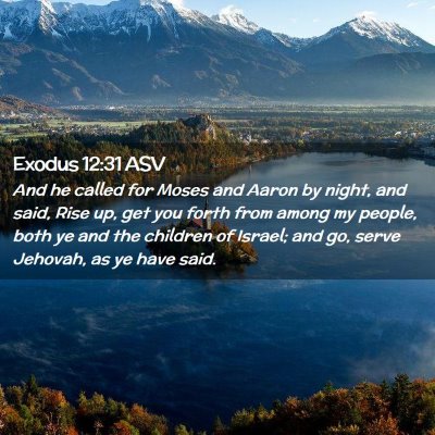 Picture 02 - Exodus 12:31 ASV - And he called for Moses and Aaron by night, and - Bible Verse Picture