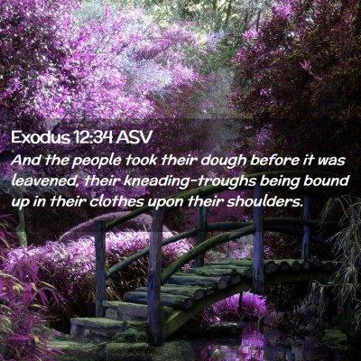 Picture 02 - Exodus 12:34 ASV - And the people took their dough before it was - Bible Verse Picture