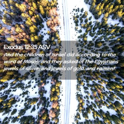 Picture 02 - Exodus 12:35 ASV - And the children of Israel did according to the - Bible Verse Picture