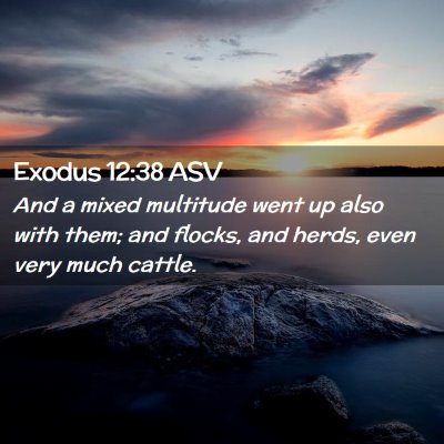 Picture 02 - Exodus 12:38 ASV - And a mixed multitude went up also with them; and - Bible Verse Picture