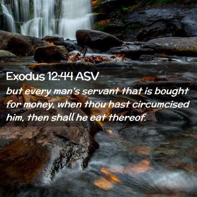 Picture 02 - Exodus 12:44 ASV - but every man's servant that is bought for money, - Bible Verse Picture