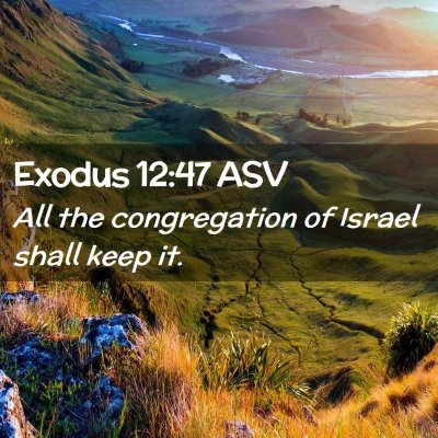 Picture 02 - Exodus 12:47 ASV - All the congregation of Israel shall keep - Bible Verse Picture