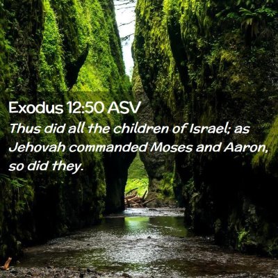 Picture 02 - Exodus 12:50 ASV - Thus did all the children of Israel; as Jehovah - Bible Verse Picture