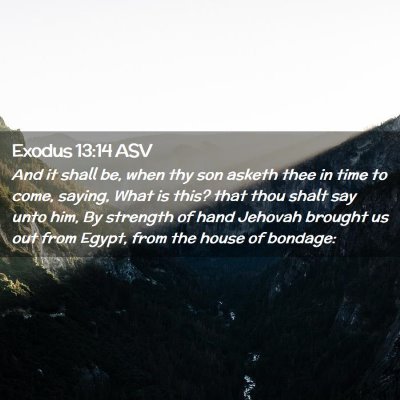 Picture 02 - Exodus 13:14 ASV - And it shall be, when thy son asketh thee in time - Bible Verse Picture