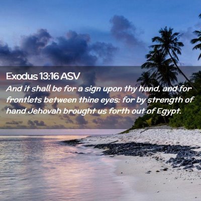 Picture 02 - Exodus 13:16 ASV - And it shall be for a sign upon thy hand, and for - Bible Verse Picture