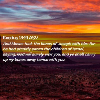 Picture 02 - Exodus 13:19 ASV - And Moses took the bones of Joseph with him: for - Bible Verse Picture