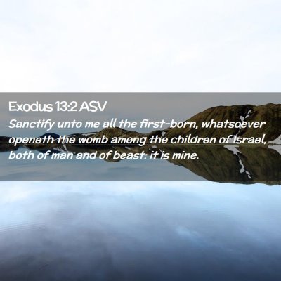 Picture 02 - Exodus 13:2 ASV - Sanctify unto me all the first-born, whatsoever - Bible Verse Picture