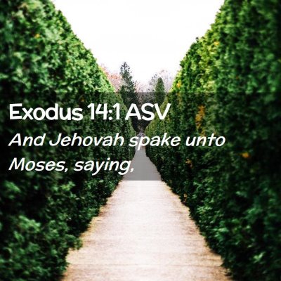 Picture 02 - Exodus 14:1 ASV - And Jehovah spake unto Moses, - Bible Verse Picture