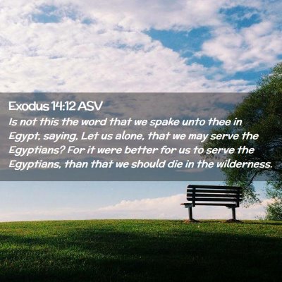 Picture 02 - Exodus 14:12 ASV - Is not this the word that we spake unto thee in - Bible Verse Picture