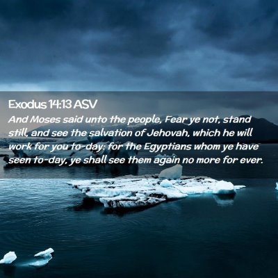 Picture 02 - Exodus 14:13 ASV - And Moses said unto the people, Fear ye not, - Bible Verse Picture