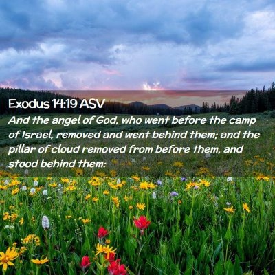 Picture 02 - Exodus 14:19 ASV - And the angel of God, who went before the camp of - Bible Verse Picture