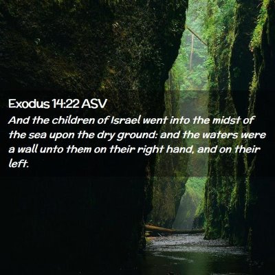 Picture 02 - Exodus 14:22 ASV - And the children of Israel went into the midst of - Bible Verse Picture