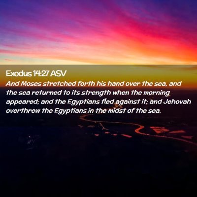 Picture 02 - Exodus 14:27 ASV - And Moses stretched forth his hand over the sea, - Bible Verse Picture