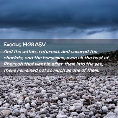 Picture 02 - Exodus 14:28 ASV - And the waters returned, and covered the - Bible Verse Picture