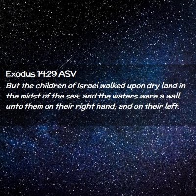Picture 02 - Exodus 14:29 ASV - But the children of Israel walked upon dry land - Bible Verse Picture
