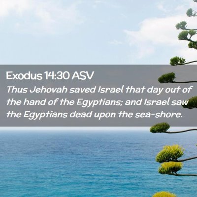 Picture 02 - Exodus 14:30 ASV - Thus Jehovah saved Israel that day out of the - Bible Verse Picture