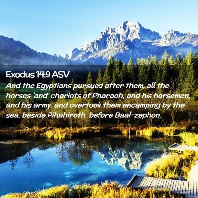 Picture 02 - Exodus 14:9 ASV - And the Egyptians pursued after them, all the - Bible Verse Picture