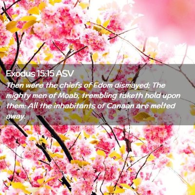 Picture 02 - Exodus 15:15 ASV - Then were the chiefs of Edom dismayed; The mighty - Bible Verse Picture