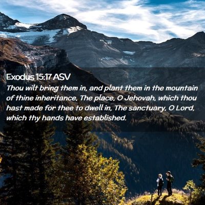 Picture 02 - Exodus 15:17 ASV - Thou wilt bring them in, and plant them in the - Bible Verse Picture