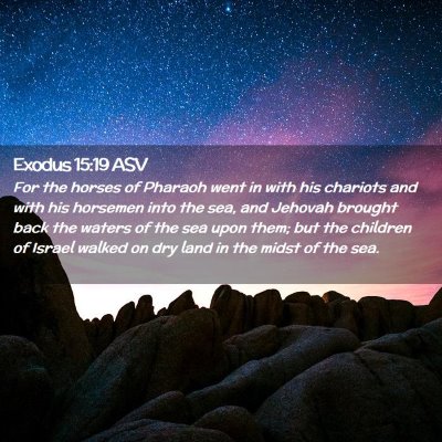 Picture 02 - Exodus 15:19 ASV - For the horses of Pharaoh went in with his - Bible Verse Picture