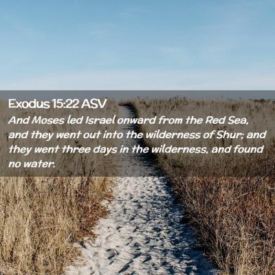 Picture 02 - Exodus 15:22 ASV - And Moses led Israel onward from the Red Sea, and - Bible Verse Picture