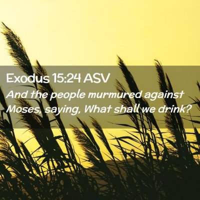 Picture 02 - Exodus 15:24 ASV - And the people murmured against Moses, saying, - Bible Verse Picture