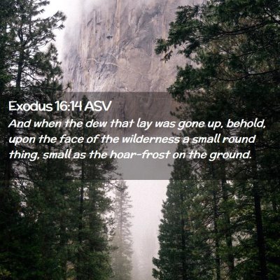 Picture 02 - Exodus 16:14 ASV - And when the dew that lay was gone up, behold, - Bible Verse Picture