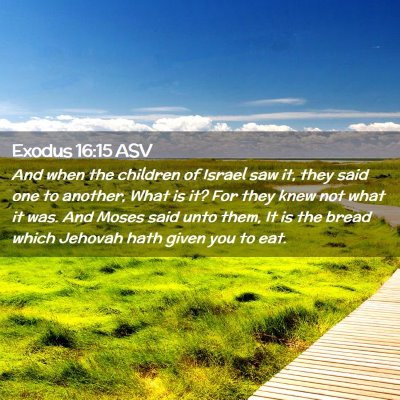 Picture 02 - Exodus 16:15 ASV - And when the children of Israel saw it, they said - Bible Verse Picture
