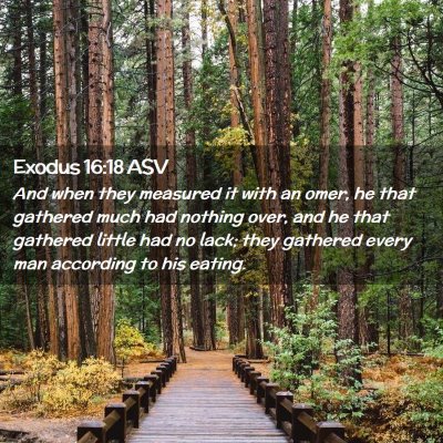 Picture 02 - Exodus 16:18 ASV - And when they measured it with an omer, he that - Bible Verse Picture