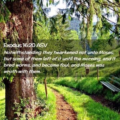 Picture 02 - Exodus 16:20 ASV - Notwithstanding they hearkened not unto Moses; - Bible Verse Picture