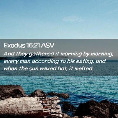 Picture 02 - Exodus 16:21 ASV - And they gathered it morning by morning, every - Bible Verse Picture
