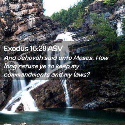 Picture 02 - Exodus 16:28 ASV - And Jehovah said unto Moses, How long refuse ye - Bible Verse Picture