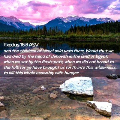 Picture 02 - Exodus 16:3 ASV - and the children of Israel said unto them, Would - Bible Verse Picture