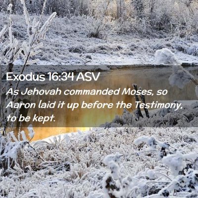 Picture 02 - Exodus 16:34 ASV - As Jehovah commanded Moses, so Aaron laid it up - Bible Verse Picture