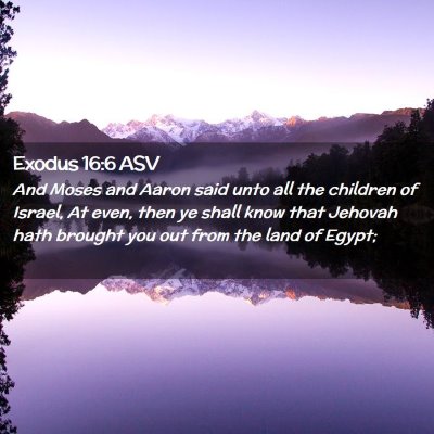 Picture 02 - Exodus 16:6 ASV - And Moses and Aaron said unto all the children of - Bible Verse Picture