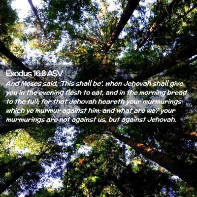 Picture 02 - Exodus 16:8 ASV - And Moses said, `This shall be', when Jehovah - Bible Verse Picture