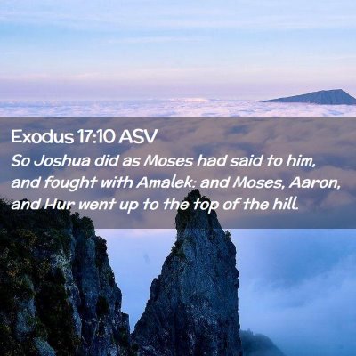 Picture 02 - Exodus 17:10 ASV - So Joshua did as Moses had said to him, and - Bible Verse Picture