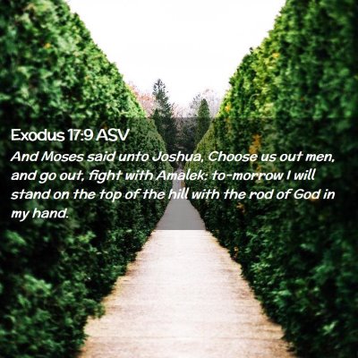 Picture 02 - Exodus 17:9 ASV - And Moses said unto Joshua, Choose us out men, - Bible Verse Picture
