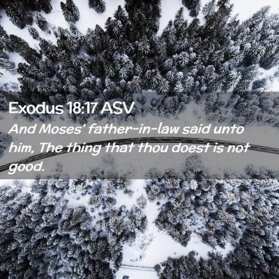 Picture 02 - Exodus 18:17 ASV - And Moses' father-in-law said unto him, The thing - Bible Verse Picture