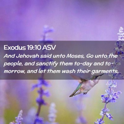 Picture 02 - Exodus 19:10 ASV - And Jehovah said unto Moses, Go unto the people, - Bible Verse Picture