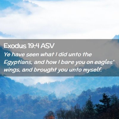 Picture 02 - Exodus 19:4 ASV - Ye have seen what I did unto the Egyptians, and - Bible Verse Picture