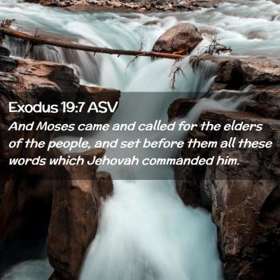 Picture 02 - Exodus 19:7 ASV - And Moses came and called for the elders of the - Bible Verse Picture