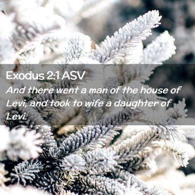 Picture 02 - Exodus 2:1 ASV - And there went a man of the house of Levi, and - Bible Verse Picture