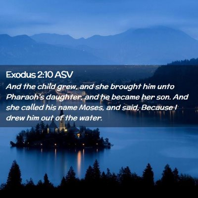 Picture 02 - Exodus 2:10 ASV - And the child grew, and she brought him unto - Bible Verse Picture