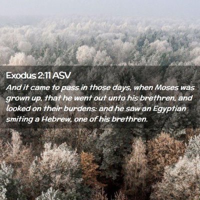 Picture 02 - Exodus 2:11 ASV - And it came to pass in those days, when Moses was - Bible Verse Picture