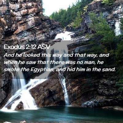 Picture 02 - Exodus 2:12 ASV - And he looked this way and that way, and when he - Bible Verse Picture